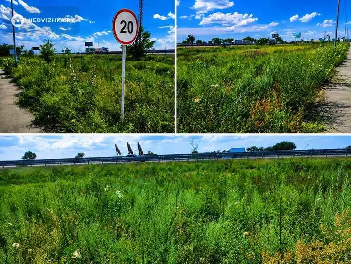Участок 91.0 соток, фотография 2