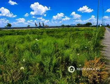 Участок 91.0 соток, миниатюра 4