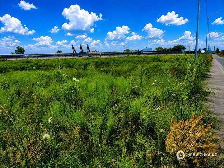 Участок 91.0 соток, фотография 4