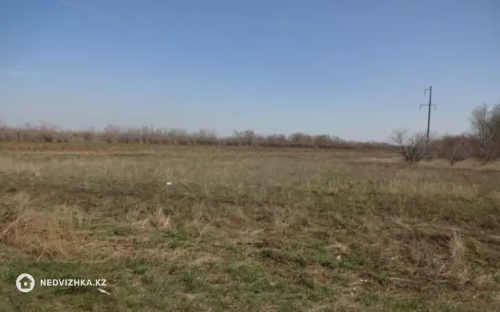Участок 8.0 соток, фотография 2