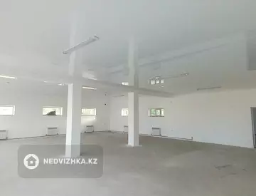 Помещение, этаж 1 из 1, 250 м²