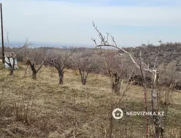 Участок 50.0 соток, миниатюра 5