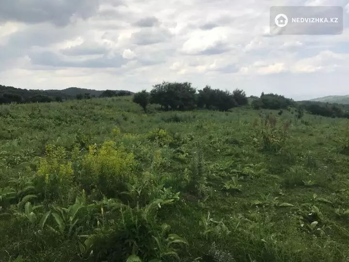 Участок 3.3 га, фотография 4