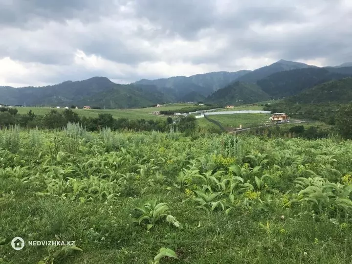 Участок 3.3 га, фотография 2