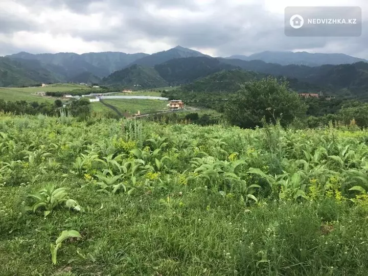 Участок 3.3 га