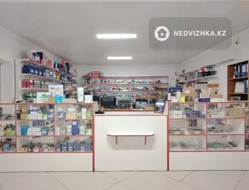 Магазин, Автосервис, этаж 1 из 1, 1 000 м², миниатюра 6