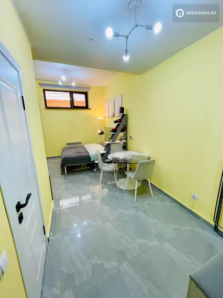 1-комнатная квартира, этаж 1 из 7, 20 м², фотография 4