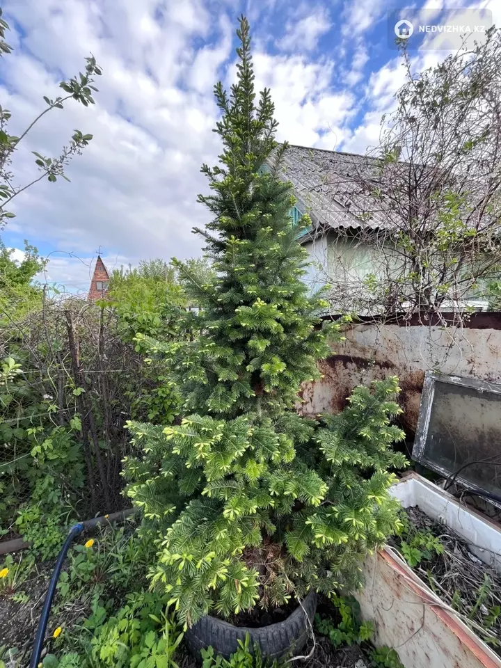 3-комнатная дача, 6 соток, 40 м²
