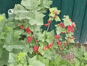 4-комнатный дом, 6 соток, 100 м², миниатюра 1