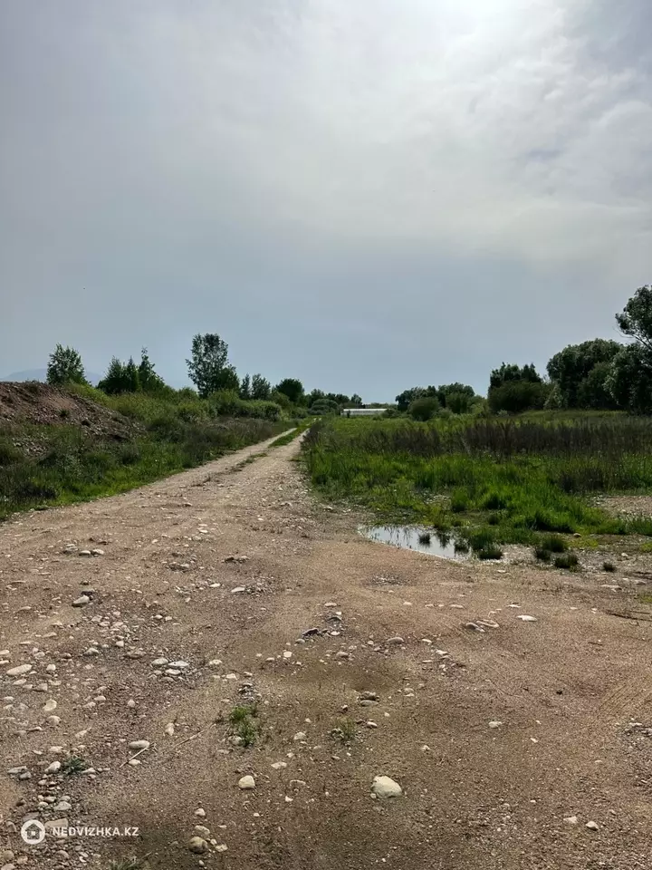 3.0 га жер телімі, 5-фотосурет