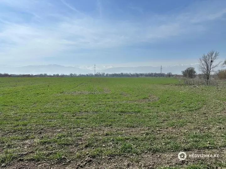 6.0 га жер телімі, 3-фотосурет
