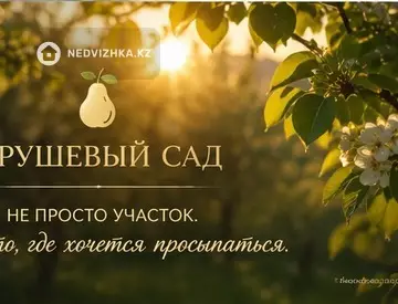 Участок 4.6 соток