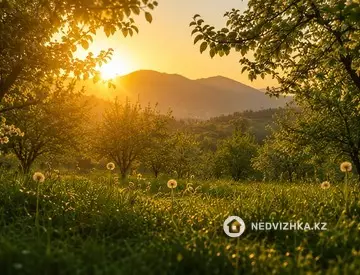 Участок 4.6 соток