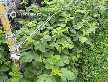 1-комнатный дом, 6 соток, 50 м², миниатюра 11