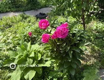1-комнатный дом, 6 соток, 50 м², миниатюра 7