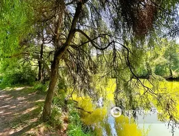 3.67 га жер телімі, 6-нобай