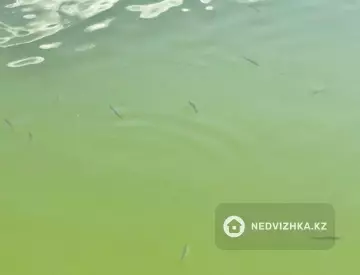 3.67 га жер телімі, 10-нобай