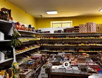 Помещение, этаж 1 из 2, 1 240 м², миниатюра 7