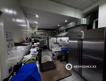 Общепит, Развлечения, 400 м², миниатюра 11