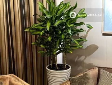 2-комнатная квартира, этаж 4 из 9, 54 м²