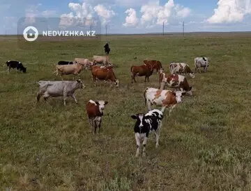 252.0 га жер телімі, 12-нобай