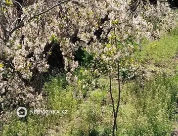 Участок 9.1 соток