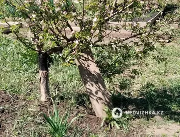 Участок 9.1 соток