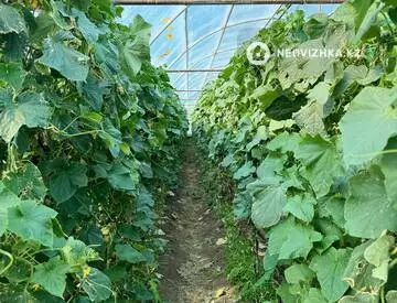 Участок 3.0 га