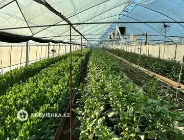 Участок 1.0 га