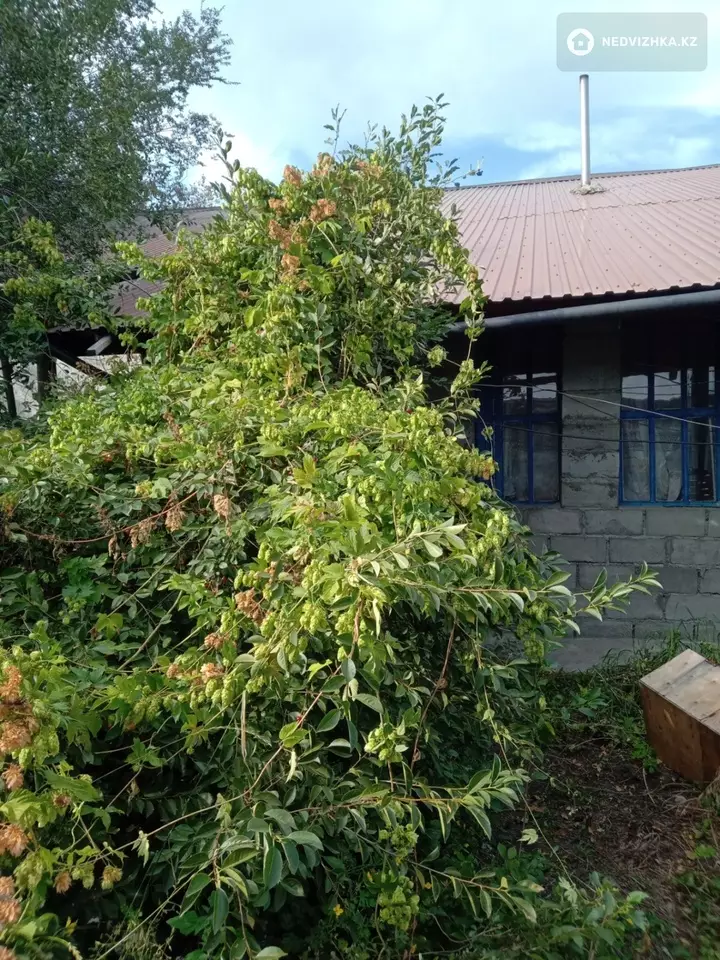 3-комнатная часть дома, 6 соток, 60 м², фотография 2