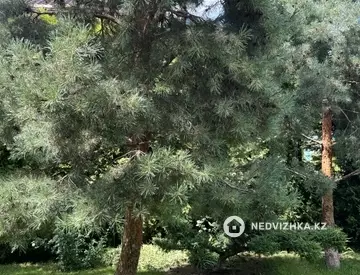 7-комнатный дом, 8.5 соток, 280 м², миниатюра 10