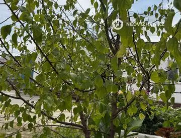 4-бөлмелі үй, 10 соттық, 150 м², 7-нобай