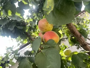 Участок 9.0 соток