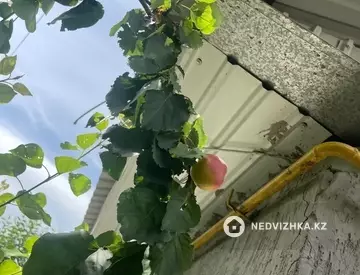 Участок 9.0 соток