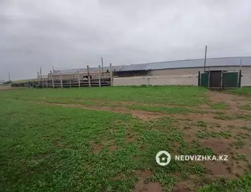 480.0 га жер телімі, 7-нобай