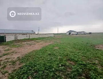 480.0 га жер телімі, 10-нобай