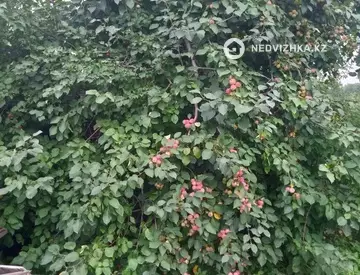 3-комнатный дом, 40 соток, 60 м²