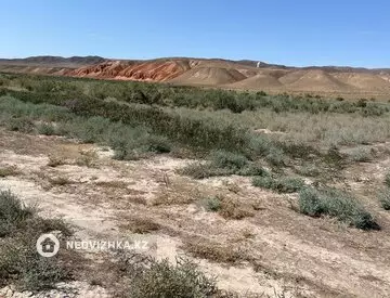 Участок 8.0 га