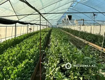 Өнеркәсіптік база, кеңселер т.б., 2 қабат, 10 000 м², 11-нобай