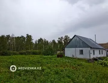 4-комнатный дом, 15 соток, 100 м²