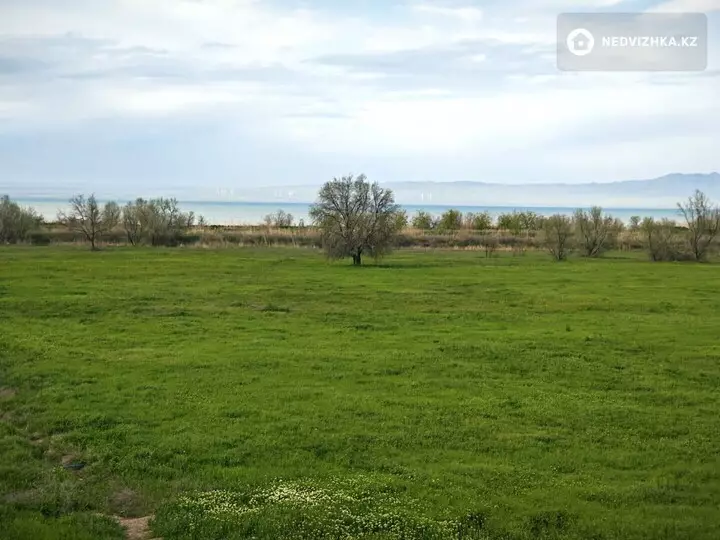 Участок 550.0 соток, фотография 2