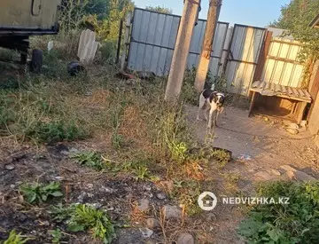 5-бөлмелі үй, 10 соттық, 1 000 м², 3-нобай