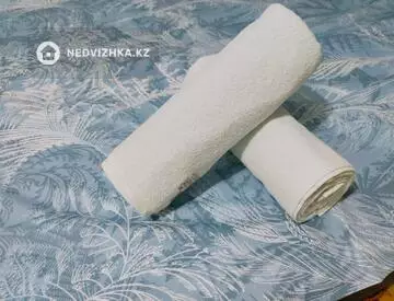 1-бөлмелі пәтер, қабат 1 барлық қабат саны 4, 36 м², Посуточно, 3-нобай