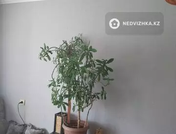 3-комнатная квартира, этаж 2 из 5, 59 м², миниатюра 7