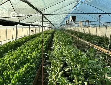 Өнеркәсіптік база, Зауыт т.б., қабат 2 барлық қабат саны 2, 10 000 м², 11-нобай
