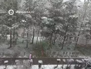 3-комнатная квартира, этаж 5 из 5, 63 м²