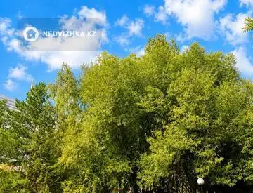 3-комнатная квартира, этаж 7 из 8, 112 м², миниатюра 6