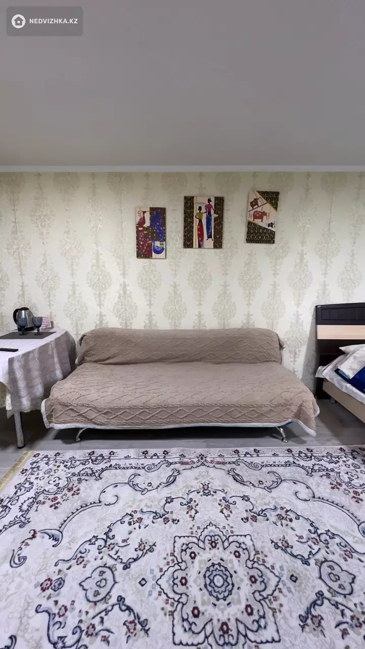 1-комнатная квартира, этаж 1 из 1, 20 м², Посуточно, фотография 3
