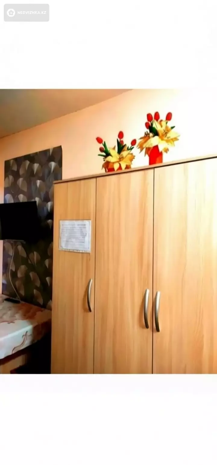 1-комнатная квартира, этаж 2 из 9, 28 м², Посуточно, фотография 3