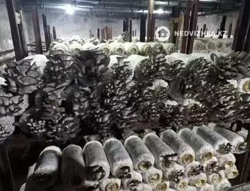 Склад, С/х помещение, 1 этаж, 600 м²
